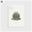 1-13_Charles-Antoine-Lemaire_postcard