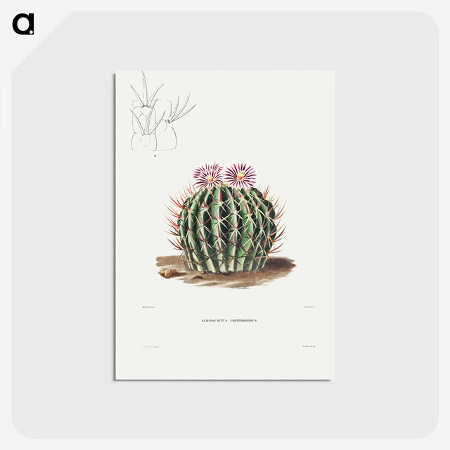 1-13_Charles-Antoine-Lemaire_postcard