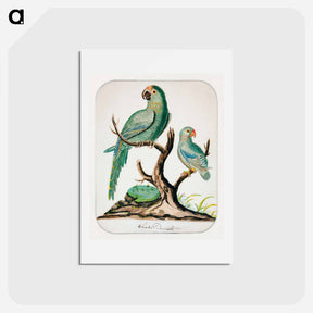 アートポストカード-Two Parrots on a Barren Tree - チャールズ デムス Postcard.