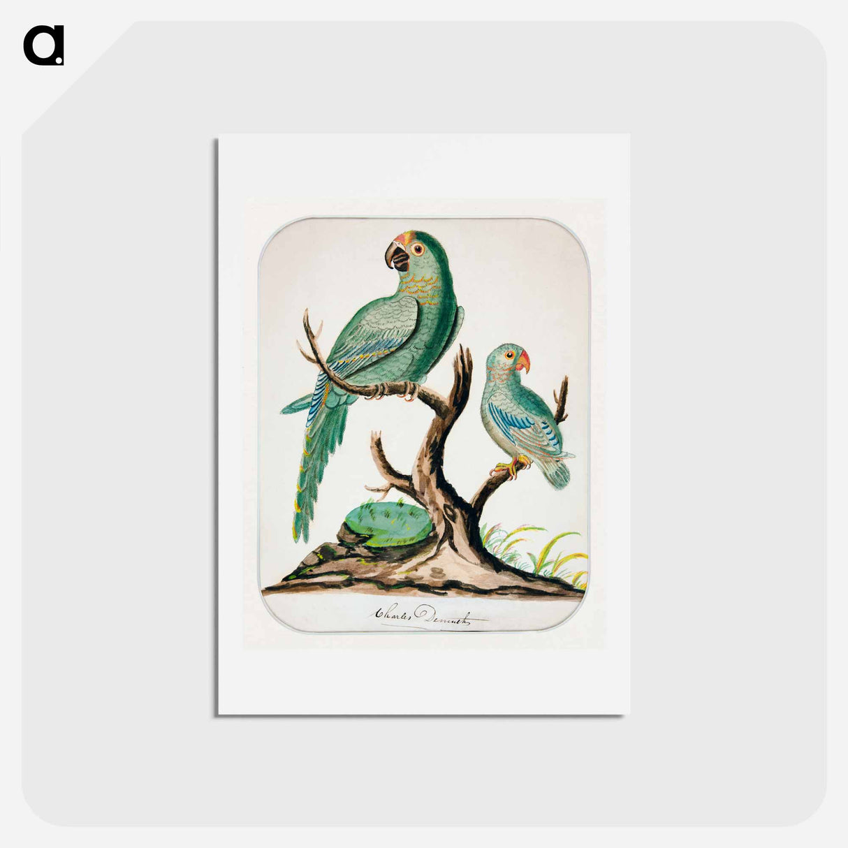 Two Parrots on a Barren Tree - チャールズ デムス Postcard.