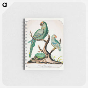 アートメモ帳-Two Parrots on a Barren Tree - チャールズ デムス Memo.