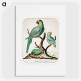 Two Parrots on a Barren Tree - チャールズ デムス Poster.