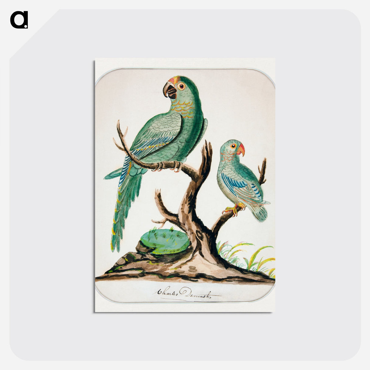 Two Parrots on a Barren Tree - チャールズ デムス Postcard.