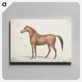 1-13_Charles-Hamilton-Smith_canvas