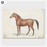 1-13_Charles-Hamilton-Smith_picture-crop