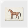 1-13_Charles-Hamilton-Smith_postcard