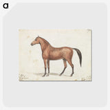 1-13_Charles-Hamilton-Smith_postcard