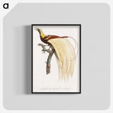 1-13_Des-Oiseaux-de-Paradis_blk-crop