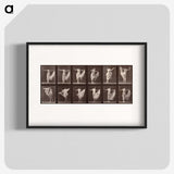 1-13_Eadweard-Muybridge_blk
