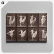 1-13_Eadweard-Muybridge_canvas