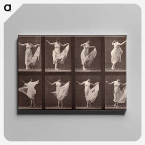 1-13_Eadweard-Muybridge_canvas