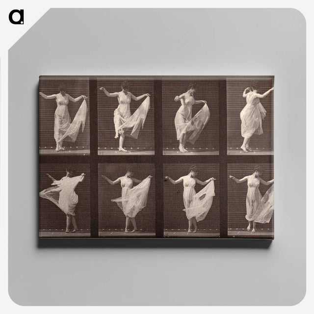 1-13_Eadweard-Muybridge_canvas