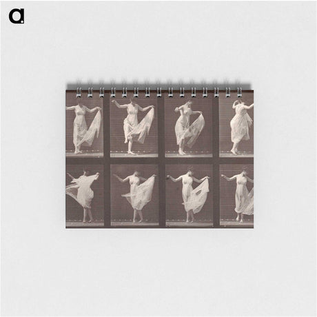 1-13_Eadweard-Muybridge_memo