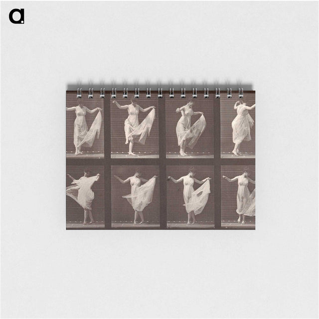 1-13_Eadweard-Muybridge_memo
