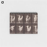 アートメモ帳-Dancing Woman
 - エドワード マイブリッジ Memo.