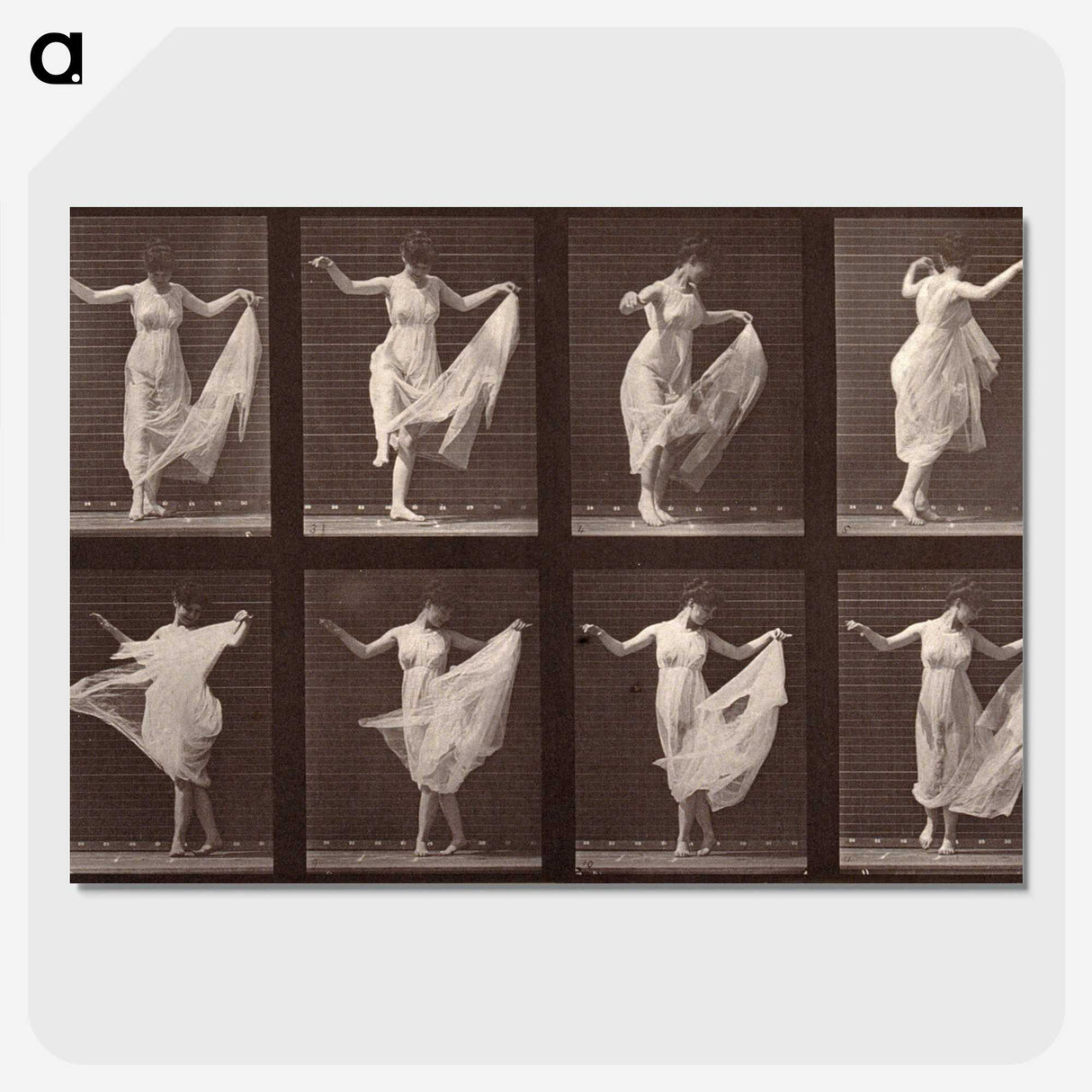 1-13_Eadweard-Muybridge_picture-crop