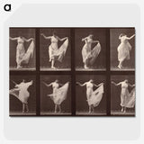 1-13_Eadweard-Muybridge_picture-crop