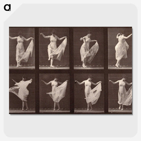 1-13_Eadweard-Muybridge_picture-crop