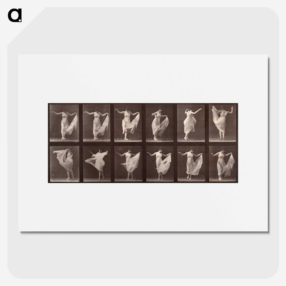 1-13_Eadweard-Muybridge_picture