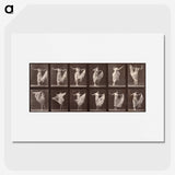 1-13_Eadweard-Muybridge_picture