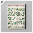 1-13_Education-Charts_canvas
