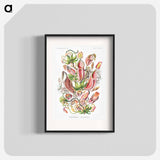 Nepenthaceae–Kannenpflanzen - エルンスト ヘッケル Poster.
