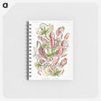1-13_Ernst-Haeckel_memo