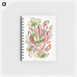 アートメモ帳-Nepenthaceae–Kannenpflanzen - エルンスト ヘッケル Memo.