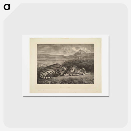 アートポストカード-ブラウン - ウジェーヌ ドラクロワ Postcard.