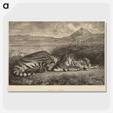 1-13_Eugene-Delacroix_picture-crop