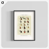 1-13_Favorite-Flies-and-Their-History_blk