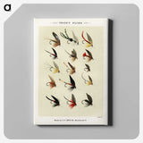 1-13_Favorite-Flies-and-Their-History_canvas