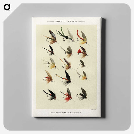 1-13_Favorite-Flies-and-Their-History_canvas