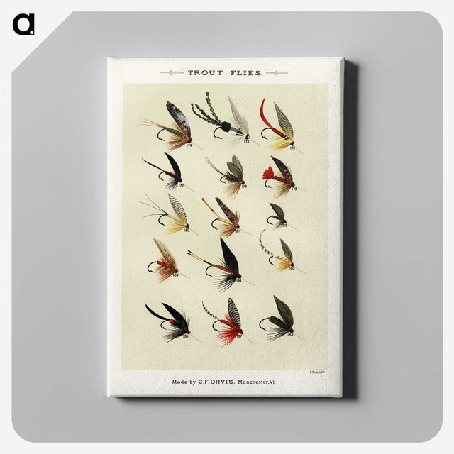 1-13_Favorite-Flies-and-Their-History_canvas