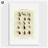 1-13_Favorite-Flies-and-Their-History_picture