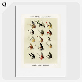 1-13_Favorite-Flies-and-Their-History_picture