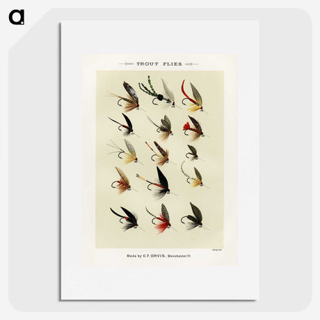 1-13_Favorite-Flies-and-Their-History_picture