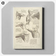 1-13_Francesco-Bartolozzi_canvas