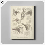 1-13_Francesco-Bartolozzi_canvas
