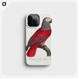 1-13_Francois-Levaillant_phone