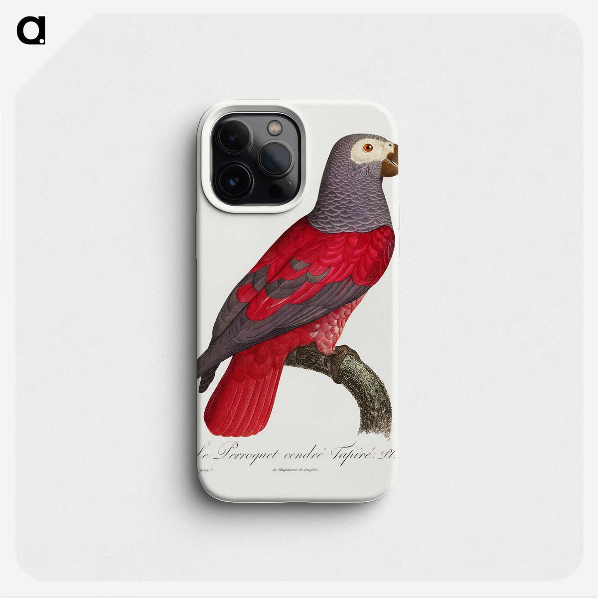 1-13_Francois-Levaillant_phone