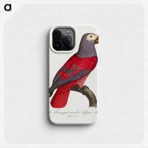 1-13_Francois-Levaillant_phone