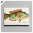 1-13_Frank-Edward-Clarke_canvas