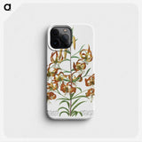 1-13_Georg-Dionysius-Ehret_phone
