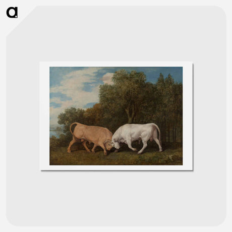 アートポストカード-Bulls Fighting
 - ジョージ スタッブス Postcard.