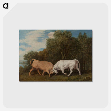 アートポストカード-Bulls Fighting
 - ジョージ スタッブス Postcard.