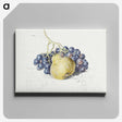 1-13_Georgius-Jacobus-Johannes-van-Os_canvas