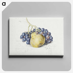 1-13_Georgius-Jacobus-Johannes-van-Os_canvas