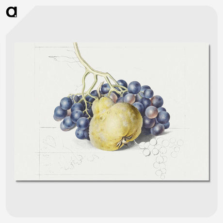 1-13_Georgius-Jacobus-Johannes-van-Os_picture-crop