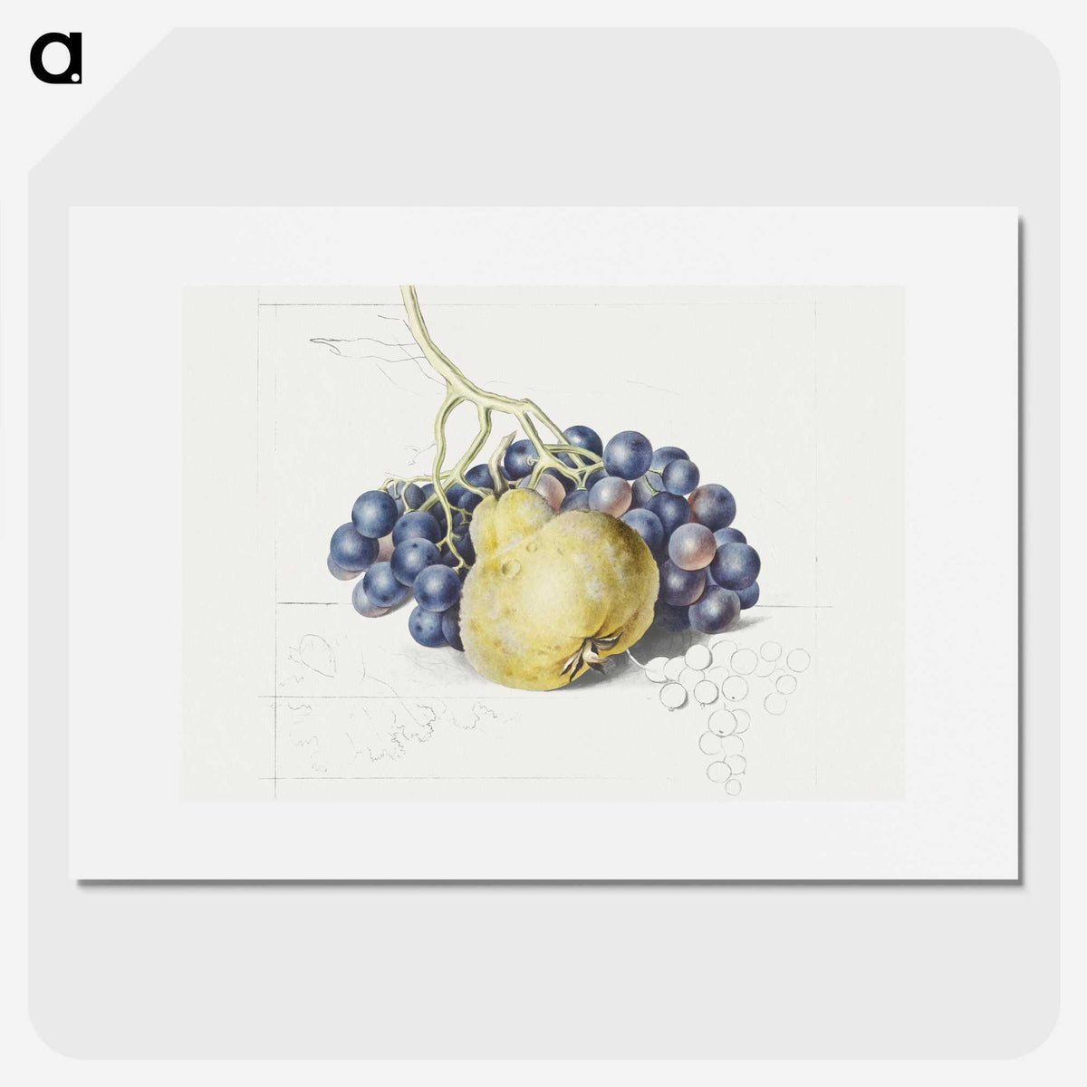 1-13_Georgius-Jacobus-Johannes-van-Os_picture